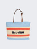 Miu Miu bag
